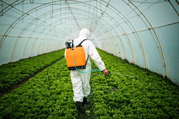 Best Mosquito Control Services  in East Marion, NY