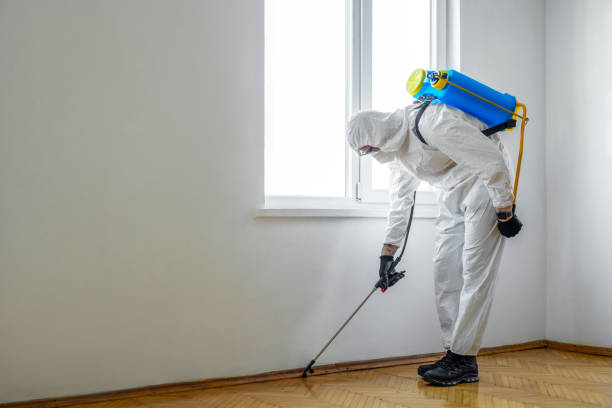 Best Emergency Pest Control  in East Marion, NY