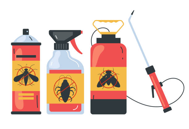 Best Affordable Pest Control Services  in East Marion, NY