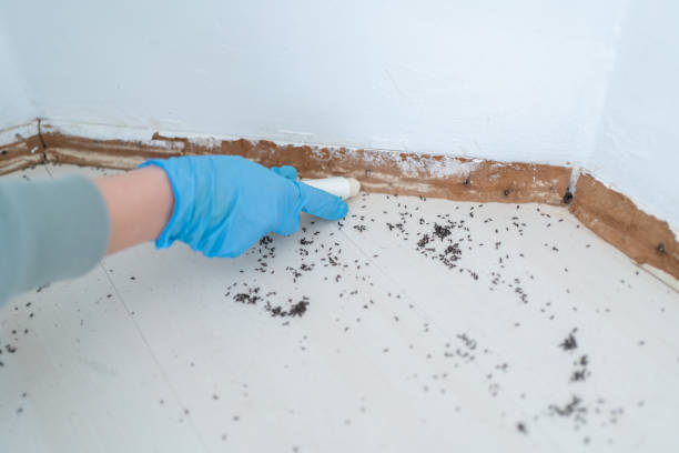 Best Commercial Pest Control Services  in East Marion, NY