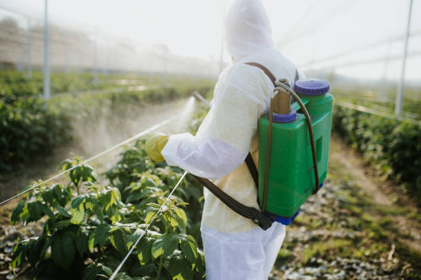 Best Pest Inspection Near Me  in East Marion, NY
